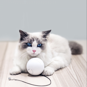 HomeRun Smart Interactive Pet Toys Automatic 360 Degree Self Rotating Ball Toys with Bell Built-In Spinning Eye-Protection LED Cat